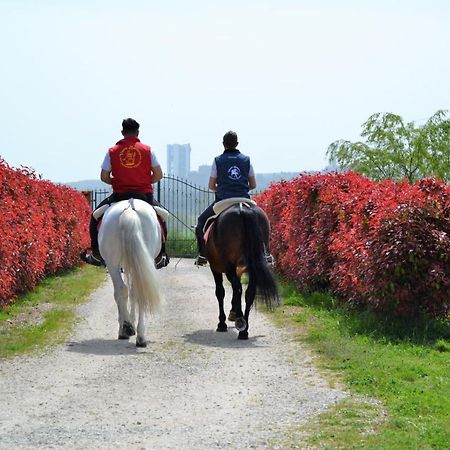 Vento Barocco - Equitazione E Turismo Villa Matera Luaran gambar