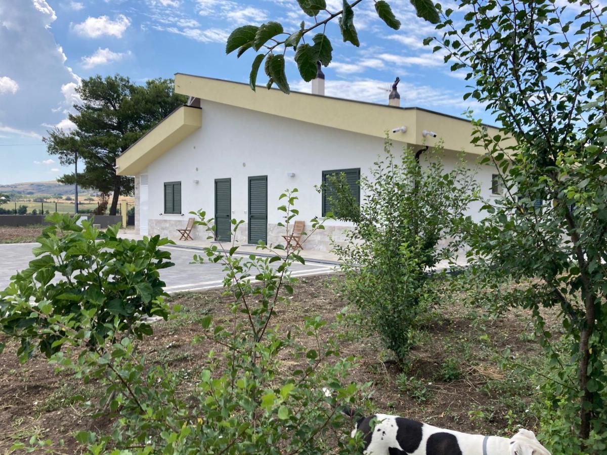Vento Barocco - Equitazione E Turismo Villa Matera Luaran gambar