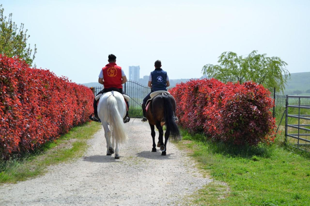 Vento Barocco - Equitazione E Turismo Villa Matera Luaran gambar