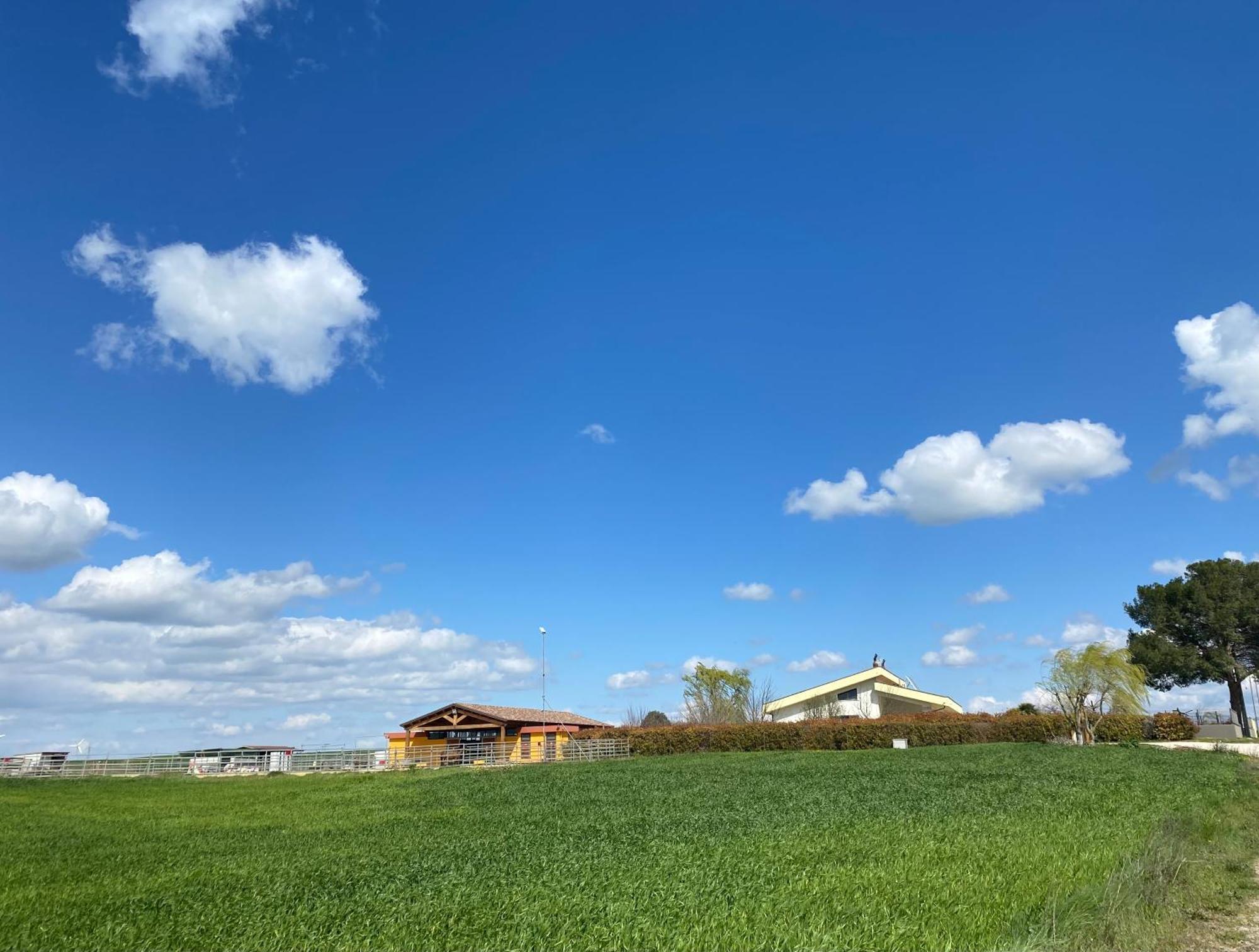 Vento Barocco - Equitazione E Turismo Villa Matera Luaran gambar